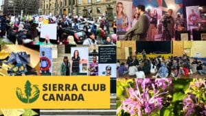 Sierra Club Canada Annual General Meeting 2025 Banner with the Sierra Club Canada logo and images of events from the past year