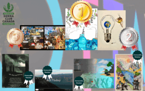 We Are the Future Climate Art Contest winners